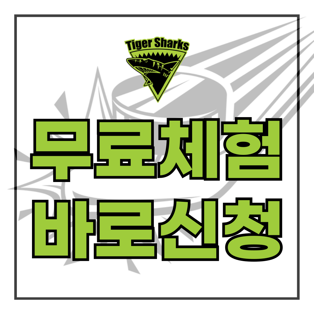 하남아이스하키 무료체험 이미지 1